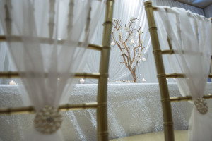 wedding, white sequin, manzanita branch, chiavari chair, hamilton wedding, niagara wedding