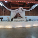 balls falls wedding, backdrop, head table, ceiling draping, twinkle lighting, hamilton wedding, niagara wedding