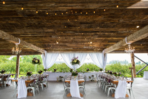 brantview apple cider farm wedding decor